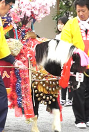 2017年2月26日(日)　荒田八幡宮　初午祭